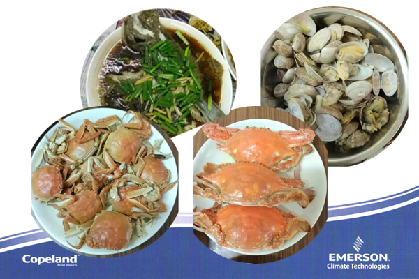 艾默生制冷壓縮機