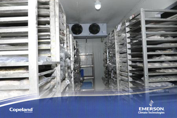 低溫冷庫 低溫冷庫